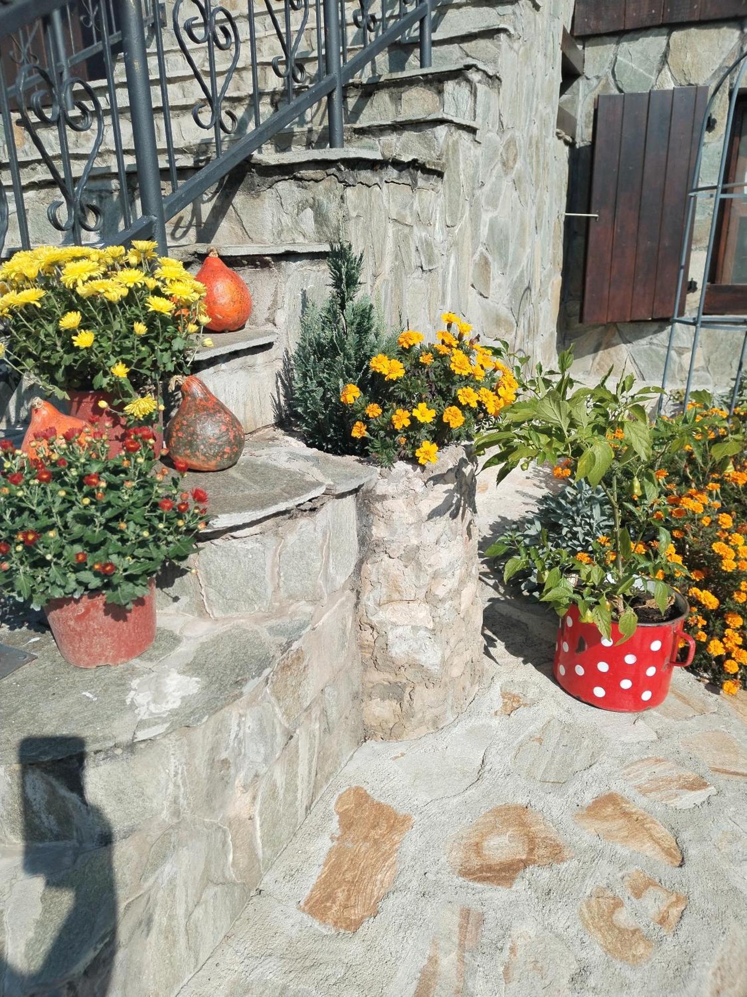 Vila Seosko Turisticko Domacinstvo Imunsan Ni Exteriér fotografie